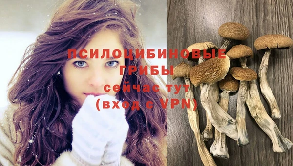дживик Волосово