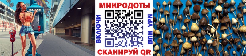 кракен зеркало  Юрьев-Польский  Псилоцибиновые грибы Psilocybine cubensis 